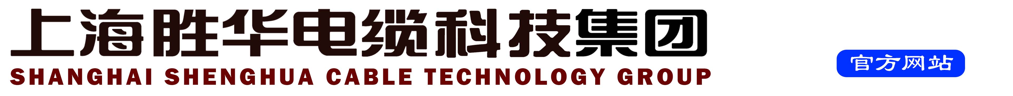 上海91麻豆精品国产91久久久久久久久精品熟女亚洲AV麻豆网站科技字  体